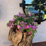 Casa vacanze Norddeichkieker -naehe Buesum
