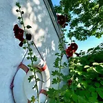 Norddeichkieker -naehe Buesum Casa vacanze *