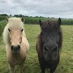 Norddeichkieker -naehe Buesum *