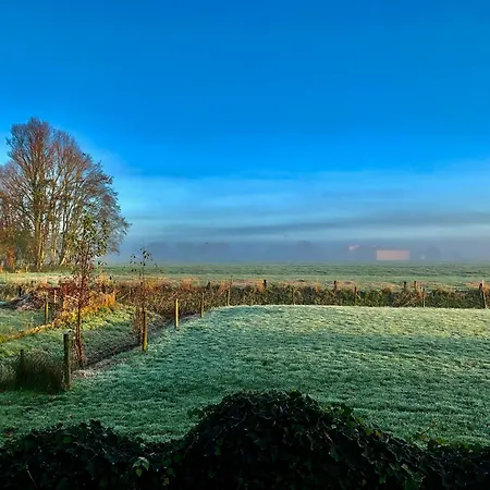 Norddeichkieker -naehe Buesum