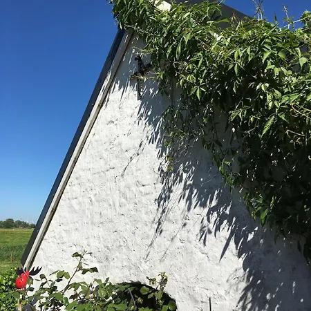 Norddeichkieker -naehe Buesum *