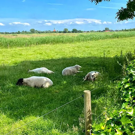 Norddeichkieker -naehe Buesum Casa vacanze