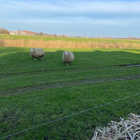 Norddeichkieker Holiday home *