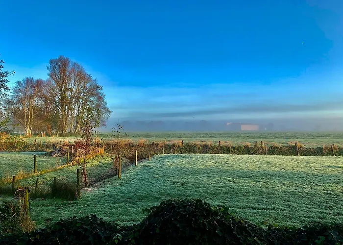Norddeichkieker -naehe Buesum