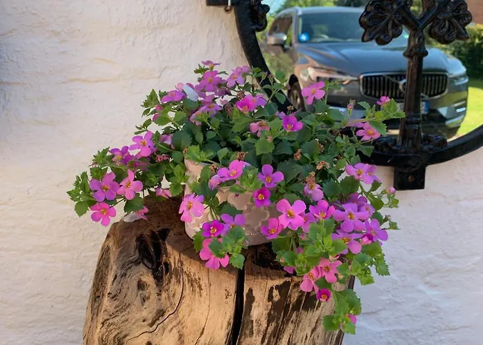 Vakantiehuis Norddeichkieker -naehe Buesum